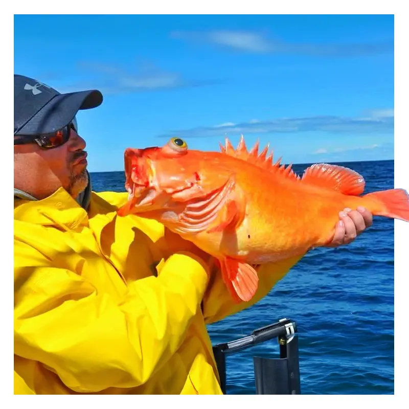 Lingcod & Rockfish